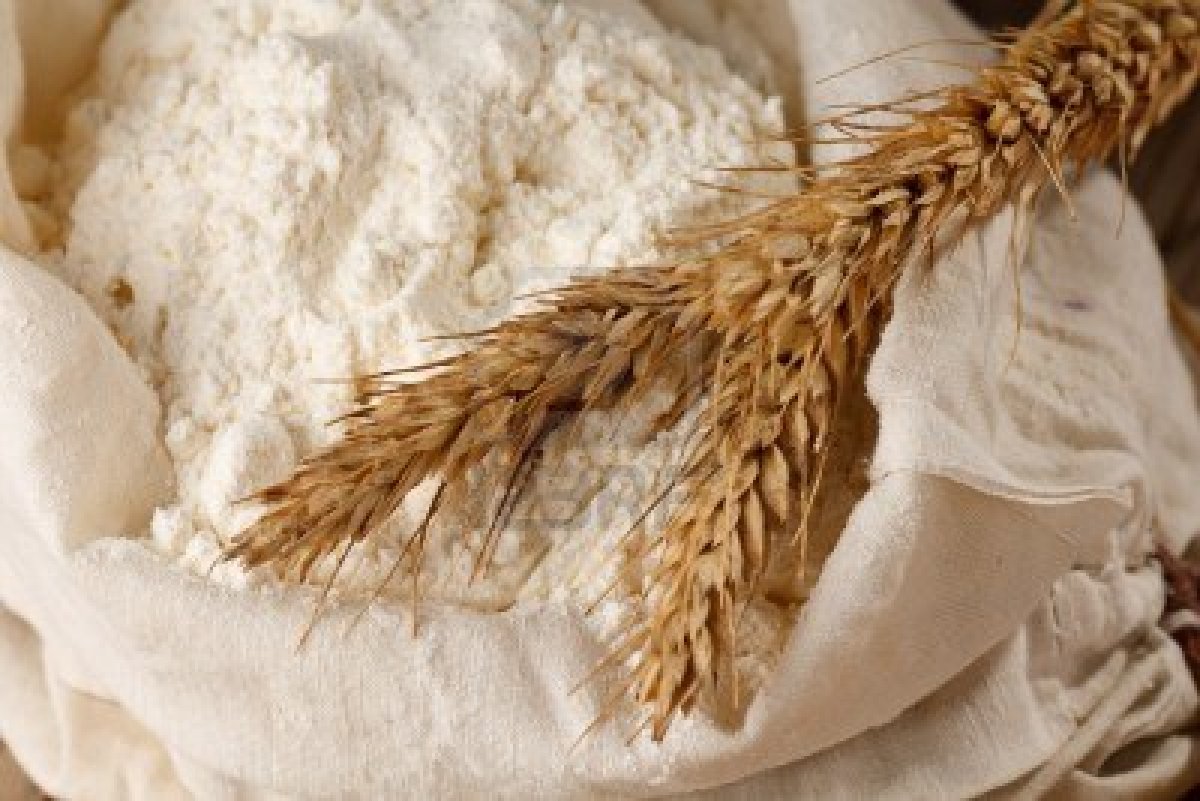 Che cos'è la farina? Gusto News